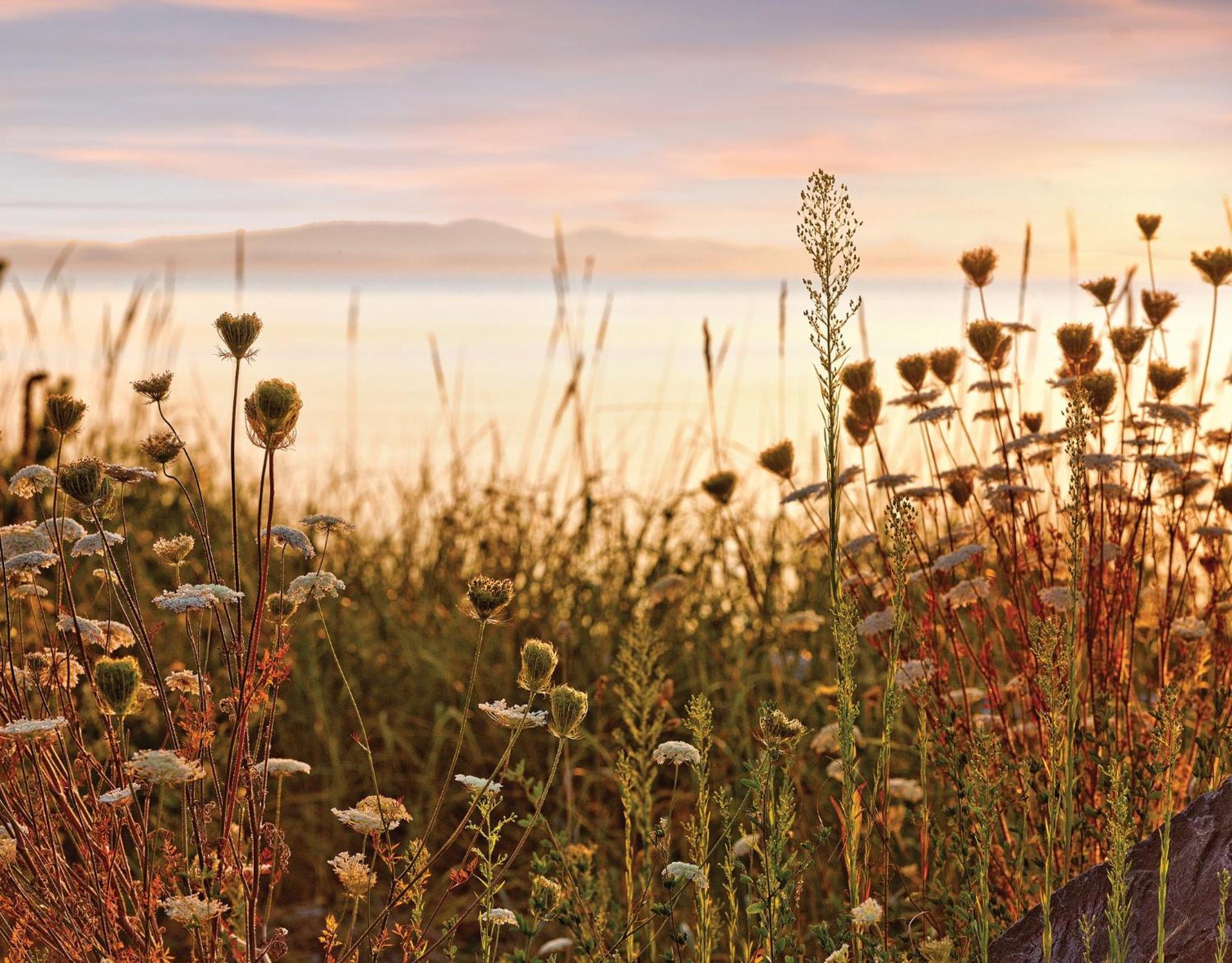 WorldMark Birch Bay Dış mekan fotoğraf